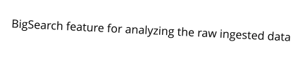 BigSearch feature for analyzing the raw ingested data